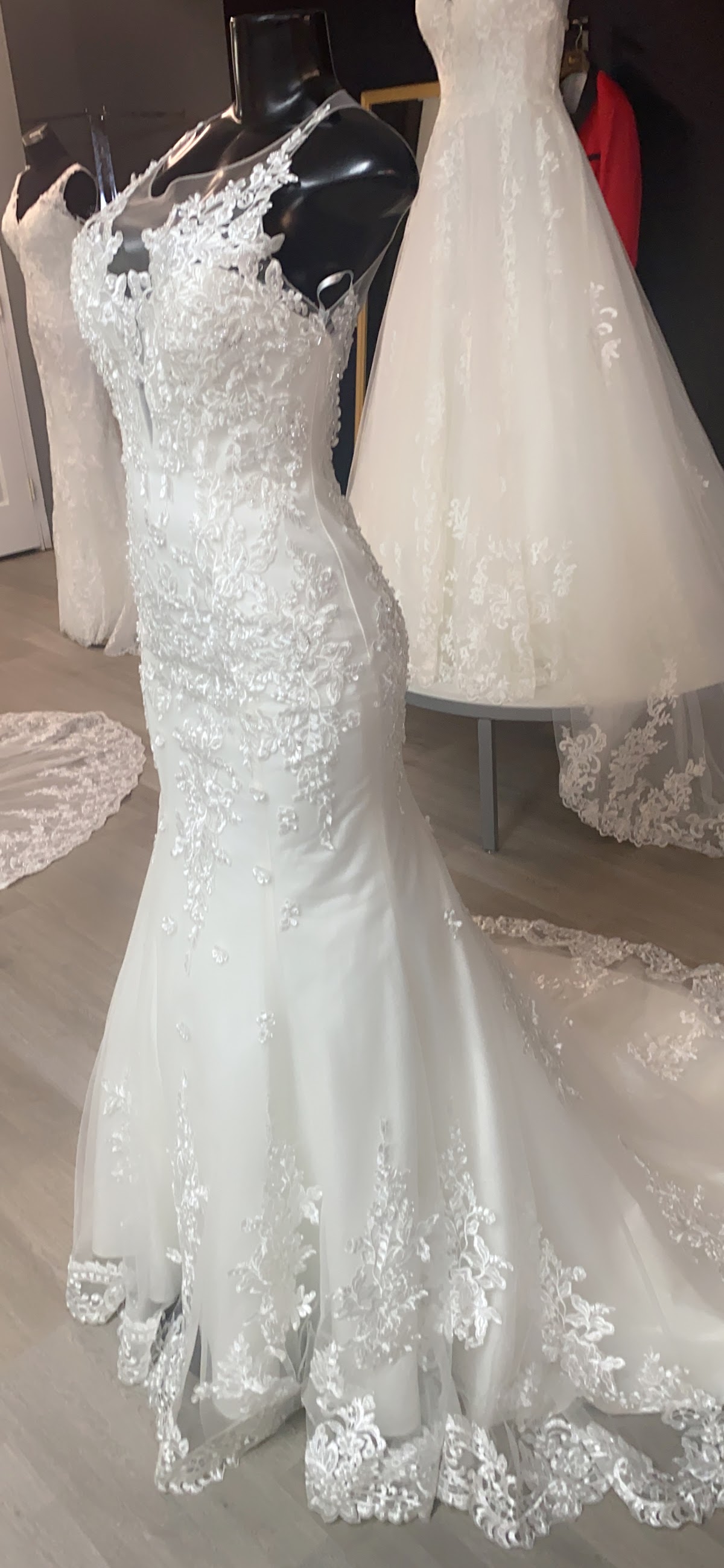 Vestidos de novia en la tienda de Llane's Boutique